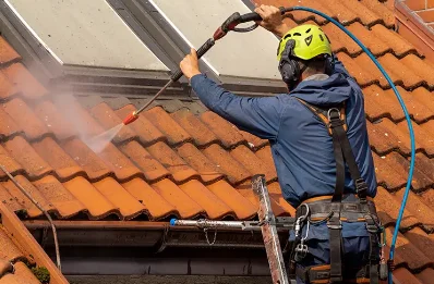 Démoussage et hydrofuge de toiture à Loubaut
